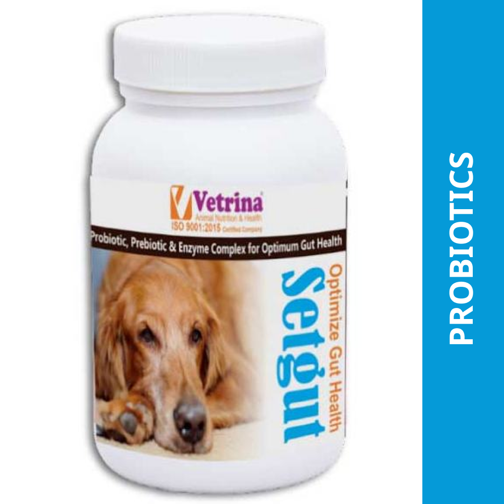 Vetrina Setgut Powder for Dogs and Cats (50g)