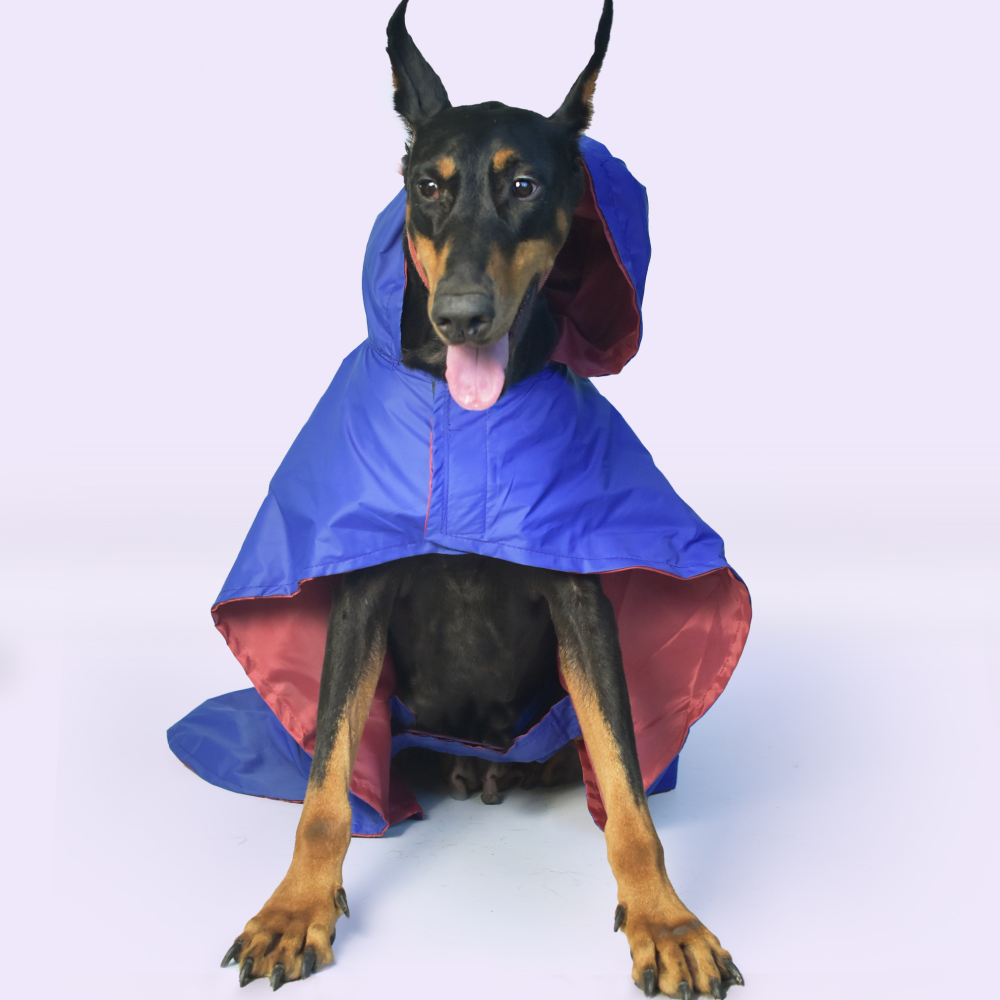 Pet Set Go Cape Style Raincoat for Dogs (Blue) Dogs-Clothing & Accessories Pet Set Go