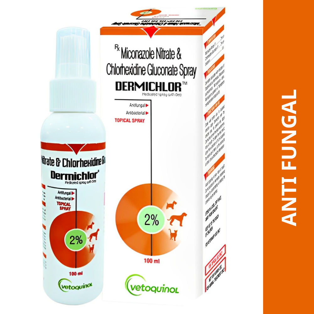 Antifungal medication for on sale dogs