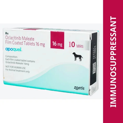 Buy Zoetis Apoquel Tablet 5.4mg for Dogs Online in India Supertails