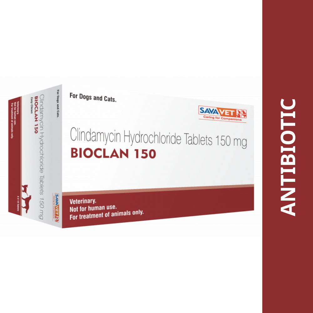 Savavet Bioclan (Clindamycin) Tablet for Dogs and Cats (pack of 10 tablets) Both-Pharmacy Savavet Pharmacy