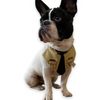 Talking Dog Club On Duty Bandana for Dogs and Cats (Brown) Dogs-Clothing & Accessories Talking Dog Club Dropship M