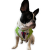 Talking Dog Club Doctor Bandana for Dogs and Cats (Brown) Dogs-Clothing & Accessories Talking Dog Club Dropship M
