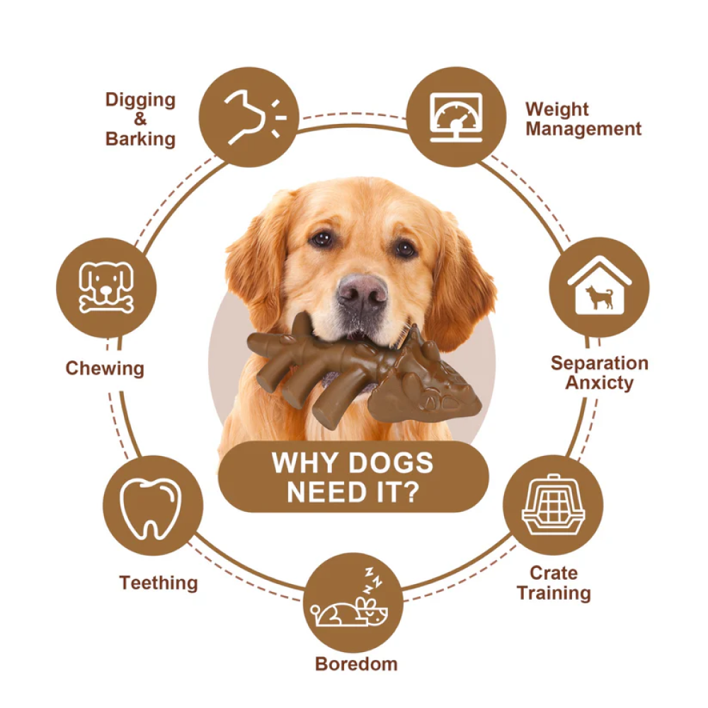 Talking Dog Club Dinosaur Nylon Bone Heavy Chew Toy for Dogs (Brown) Dogs-Toys Talking Dog Club Dropship