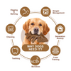 Talking Dog Club Dinosaur Nylon Bone Heavy Chew Toy for Dogs (Brown) Dogs-Toys Talking Dog Club Dropship