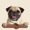 Talking Dog Club Bar Nylon Bone Heavy Chew Toy for Dogs (Brown) Dogs-Toys Talking Dog Club Dropship