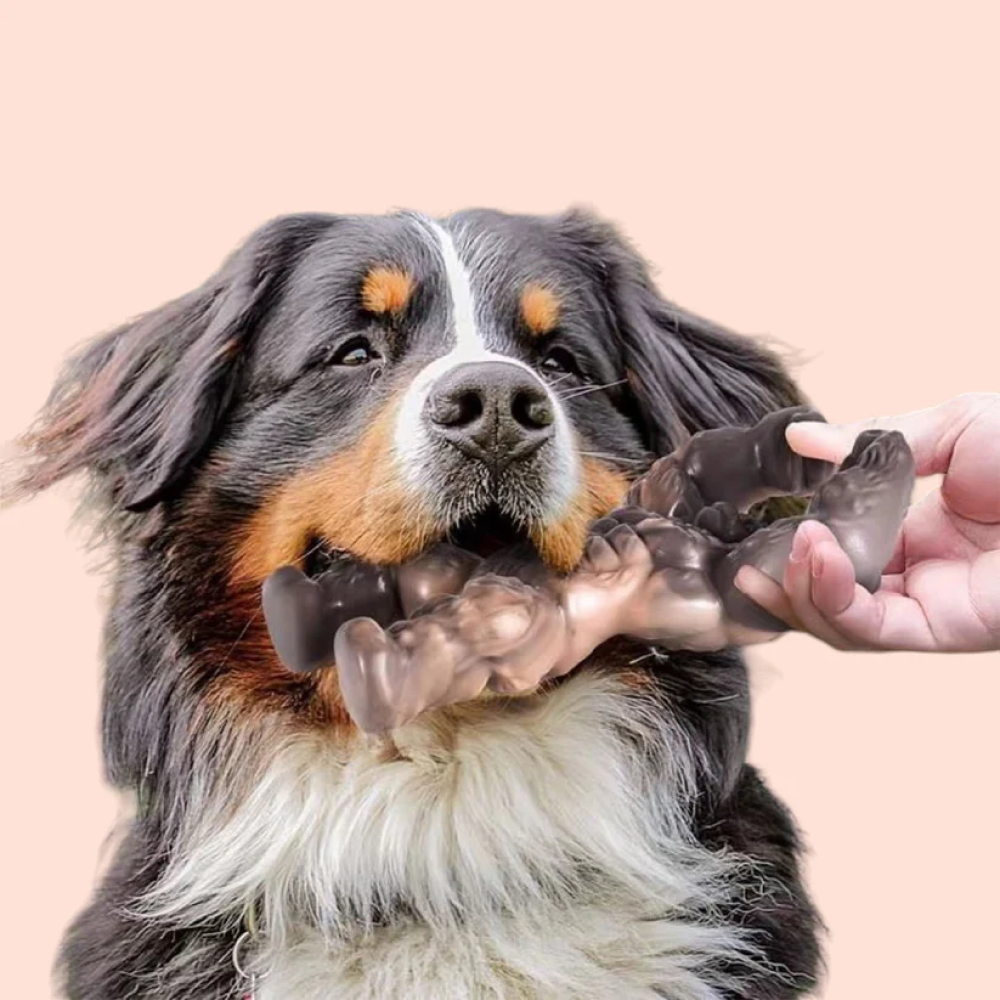 Talking Dog Club Gorilla Nylon Bone Heavy Chew Toy for Dogs (Brown) Dogs-Toys Talking Dog Club Dropship
