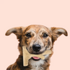 Talking Dog Club Branch Out Wood Heavy Chew Toy for Dogs (Brown) Dogs-Toys Talking Dog Club Dropship