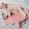 Talking Dog Club Piggy Plush Toy for Dogs (Pink)