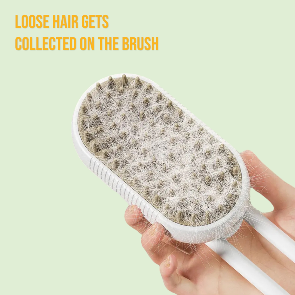 Chullbull Electric Multifunctional Steam Brush for Dogs and Cats (Multicolor) Both-Grooming Supplies Chullbull Dropship