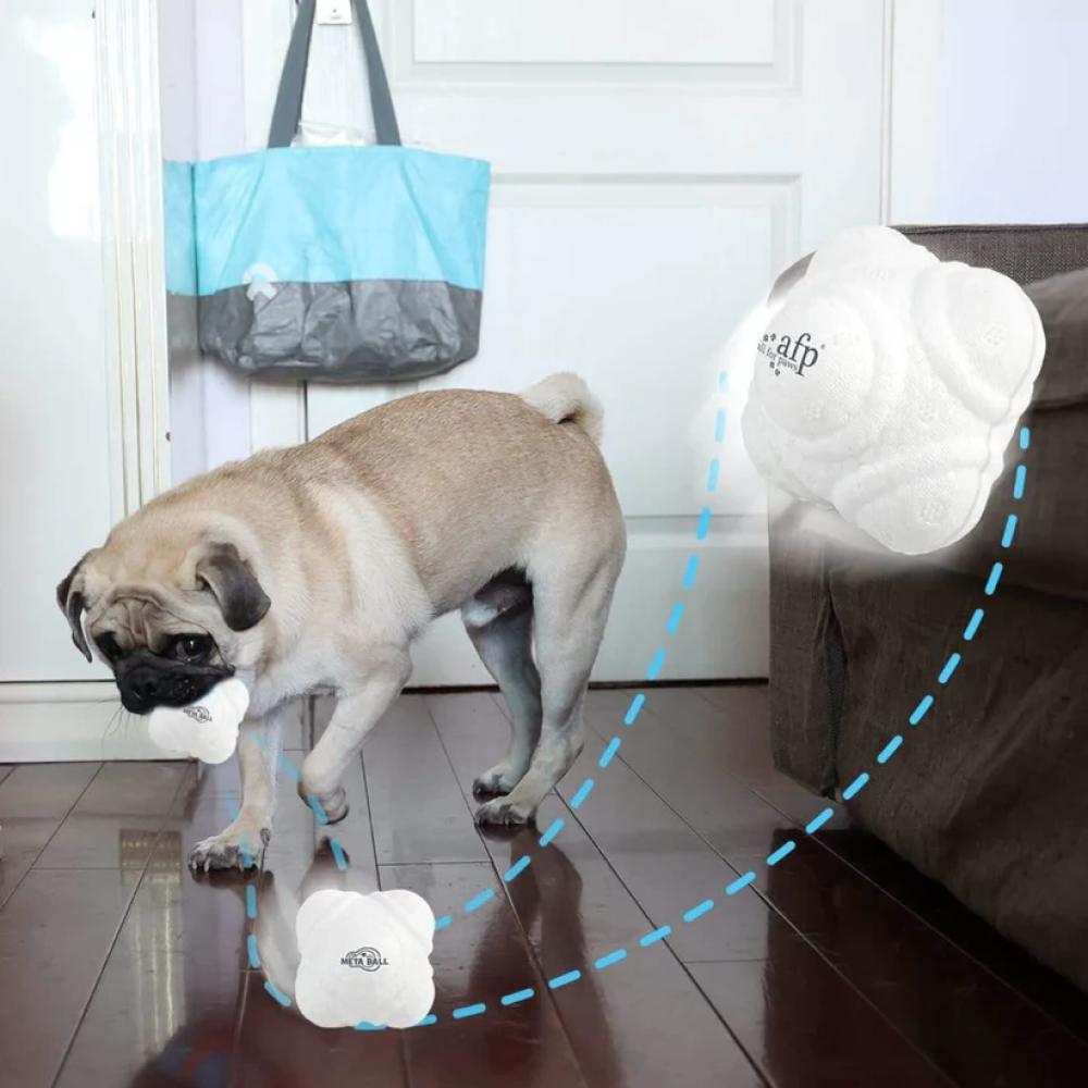 Talking Dog Club Crazy Bounce Meta Ball Toy for Dogs (White) Dogs-Toys Talking Dog Club Dropship
