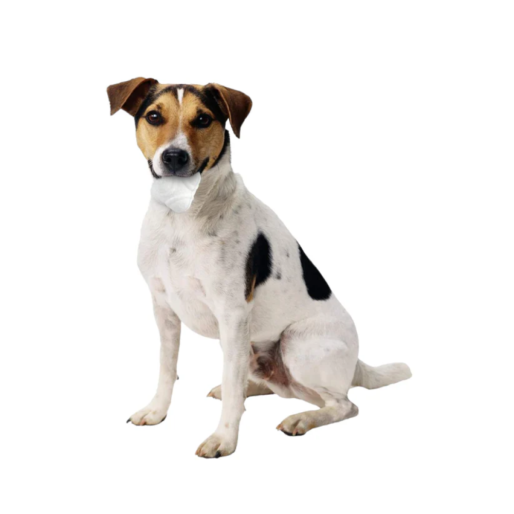 Talking Dog Club Crazy Bounce Meta Ball Toy for Dogs (White) Dogs-Toys Talking Dog Club Dropship