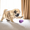 Talking Dog Club First Puppy Toy Set for Dogs (Multicolour) Dogs-Toys Talking Dog Club Dropship
