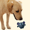 Talking Dog Club Elephant Bouncy Ball Toy for Dogs (Grey) Dogs-Toys Talking Dog Club Dropship