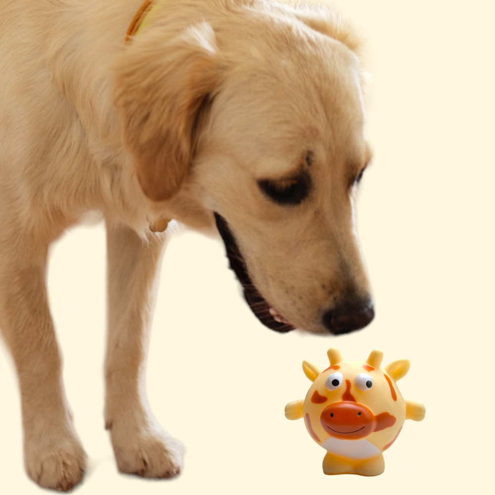 Talking Dog Club Giraffe Bouncy Ball Toy for Dogs (Orange) Dogs-Toys Talking Dog Club Dropship