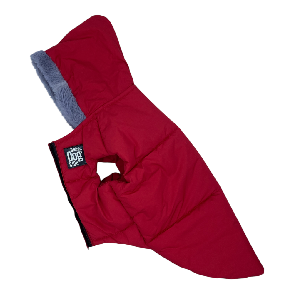 Talking Dog Club Bomber Jacks Hoodies for Dogs (Red) Dogs-Clothing & Accessories Talking Dog Club Dropship
