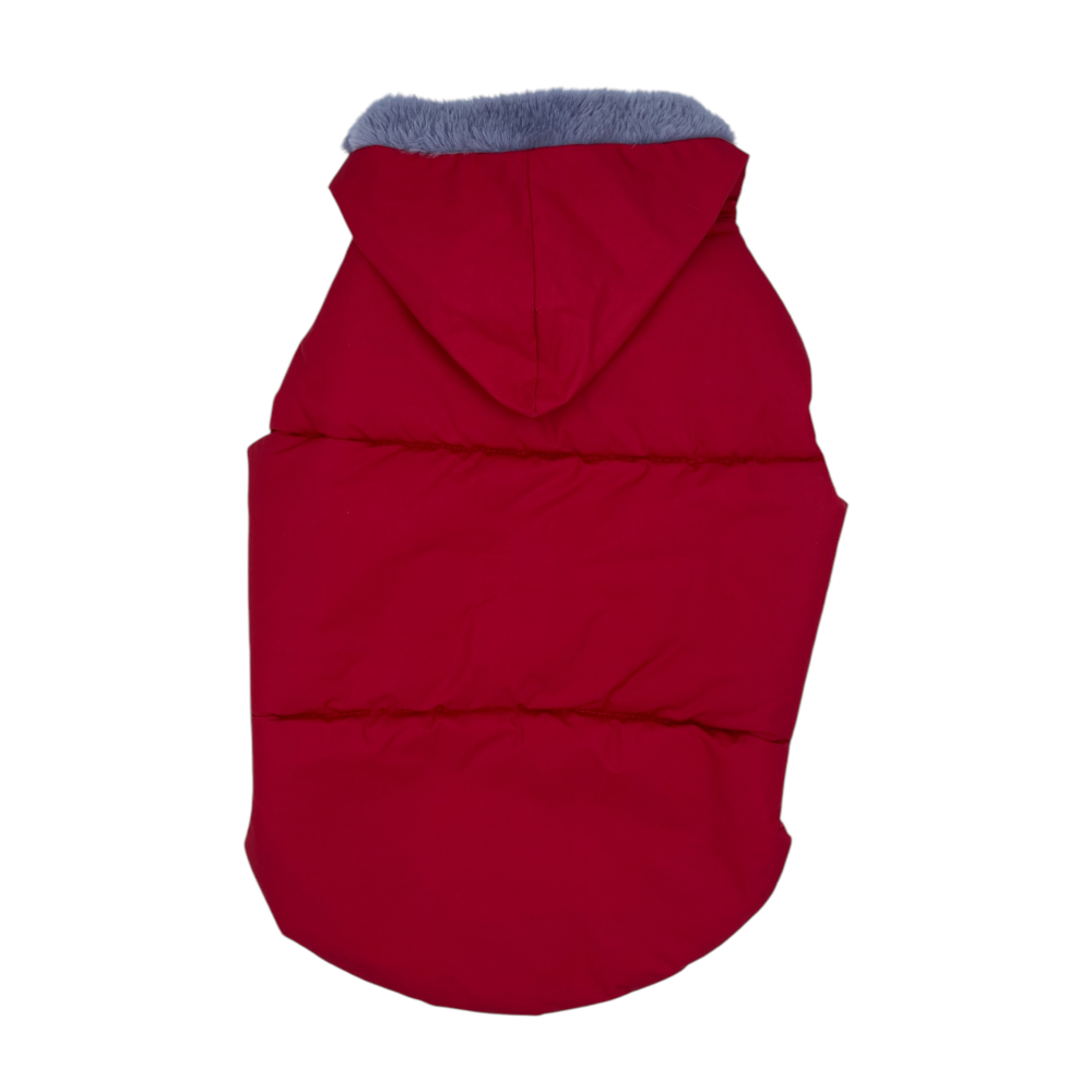 Talking Dog Club Bomber Jacks Hoodies for Dogs (Red) Dogs-Clothing & Accessories Talking Dog Club Dropship