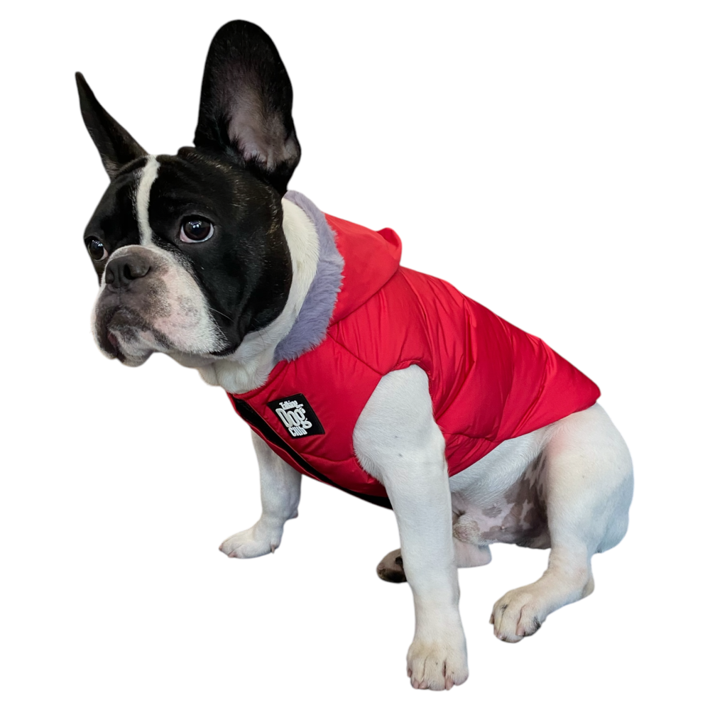 Talking Dog Club Bomber Jacks Hoodies for Dogs (Red) Dogs-Clothing & Accessories Talking Dog Club Dropship XL