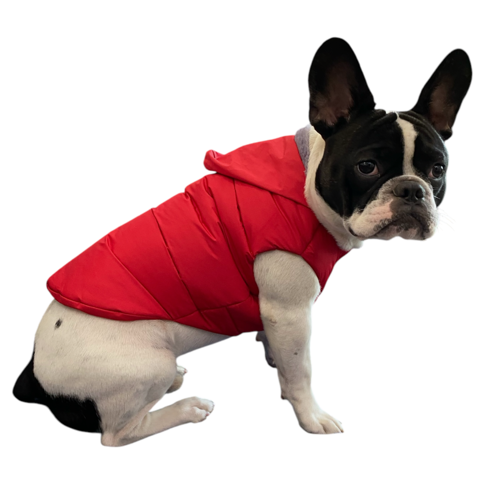 Talking Dog Club Bomber Jacks Hoodies for Dogs (Red) Dogs-Clothing & Accessories Talking Dog Club Dropship
