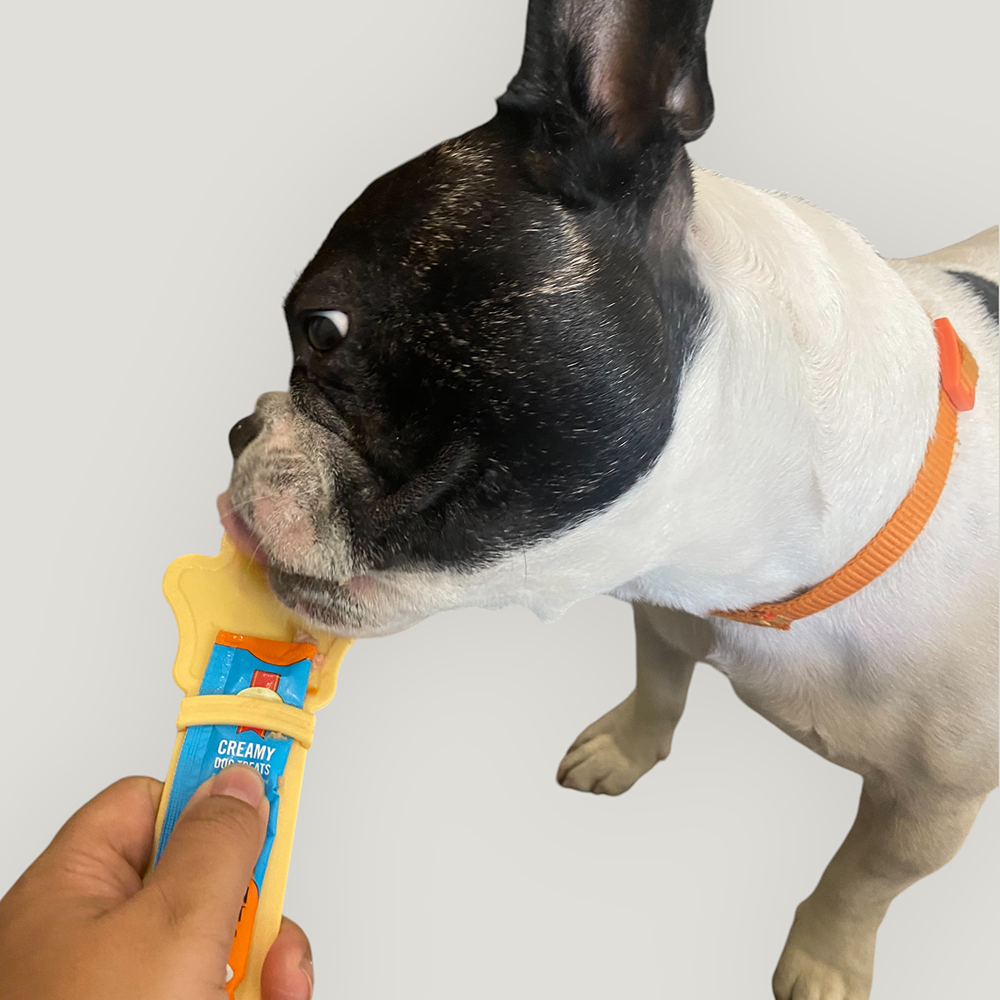 Talking Dog Club Wet Treat Dispenser Feeding Spoon for Dogs and Cats (Pale Yellow) Both-Bowls & Feeders Talking Dog Club Dropship