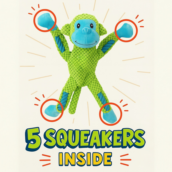 Talking Dog Club Monkey on Ropes with Multiple Squeaker Toy for Dogs (Green)