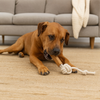 Talking Dog Club Natural Ball & Stick Tug Toy for Dogs (White and Brown) Dogs-Toys Talking Dog Club Dropship