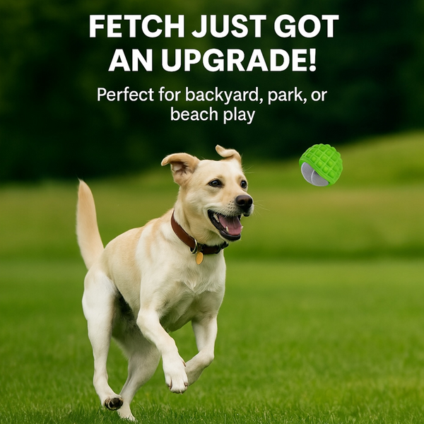 Talking Dog Club TRP Bounce Ball with Tennis Ball Toy for Dogs (Green)