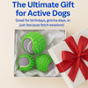 Talking Dog Club TRP Bounce Ball with Tennis Ball Toy for Dogs (Green) Dogs-Toys Talking Dog Club Dropship