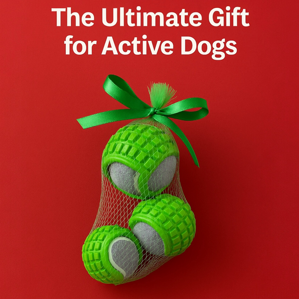 Talking Dog Club TRP Bounce Ball with Tennis Ball Toy for Dogs (Green)