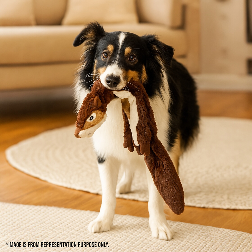 Talking Dog Club Chipmunk Stuffless Plush Toy for Dogs (Brown) Dogs-Toys Talking Dog Club Dropship
