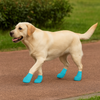 Talking Dog Club Self Adhesive Paws Wraps for Dogs (Sky Blue) Dogs-Clothing & Accessories Talking Dog Club Dropship