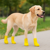 Talking Dog Club Self Adhesive Paws Wraps for Dogs (Yellow) Dogs-Clothing & Accessories Talking Dog Club Dropship