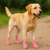 Talking Dog Club Self Adhesive Paws Wraps for Dogs (Red and White) Dogs-Clothing & Accessories Talking Dog Club Dropship