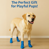 Talking Dog Club Self Adhesive Paws Wraps for Dogs (Blue Fish) Dogs-Clothing & Accessories Talking Dog Club Dropship