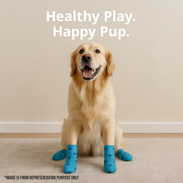 Talking Dog Club Self Adhesive Paws Wraps for Dogs (Blue Fish)