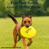 Talking Dog Pop Light weight Frisbee Toy for Dogs (Yellow) Dogs-Toys Talking Dog Club Dropship