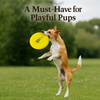 Talking Dog Pop Light weight Frisbee Toy for Dogs (Yellow) Dogs-Toys Talking Dog Club Dropship