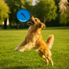Talking Dog Pop Light weight Frisbee Toy for Dogs (Blue) Dogs-Toys Talking Dog Club Dropship