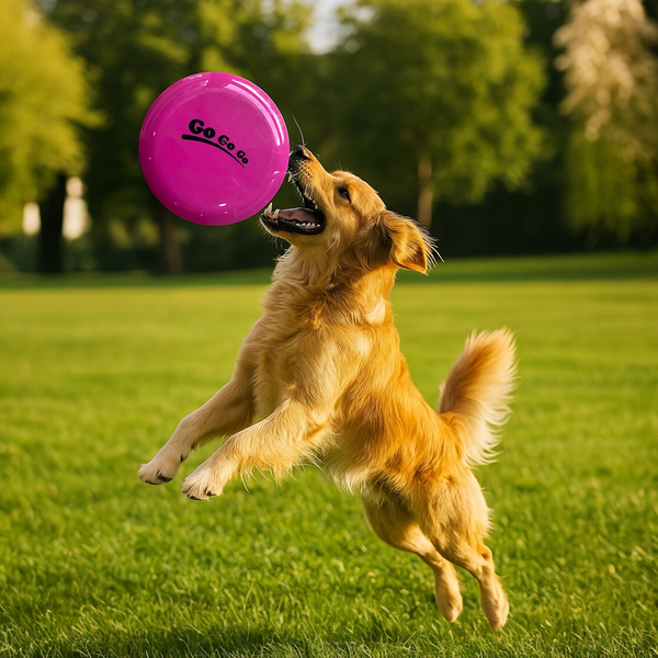 Talking Dog Pop Light weight Frisbee Toy for Dogs (Pink)
