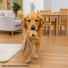 Talking Dog Club Teddy Bear Plush Crinkle Toy for Dogs (Brown) Dogs-Toys Talking Dog Club Dropship