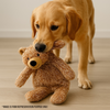 Talking Dog Club Teddy Bear Plush Crinkle Toy for Dogs (Brown) Dogs-Toys Talking Dog Club Dropship