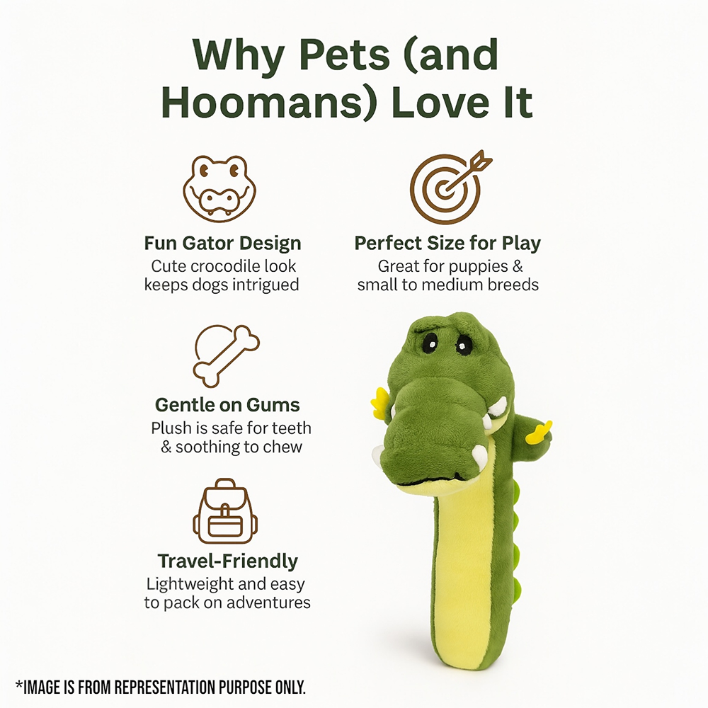 Talking Dog Club Gator Plush Toy for Dogs (Green) Dogs-Toys Talking Dog Club Dropship