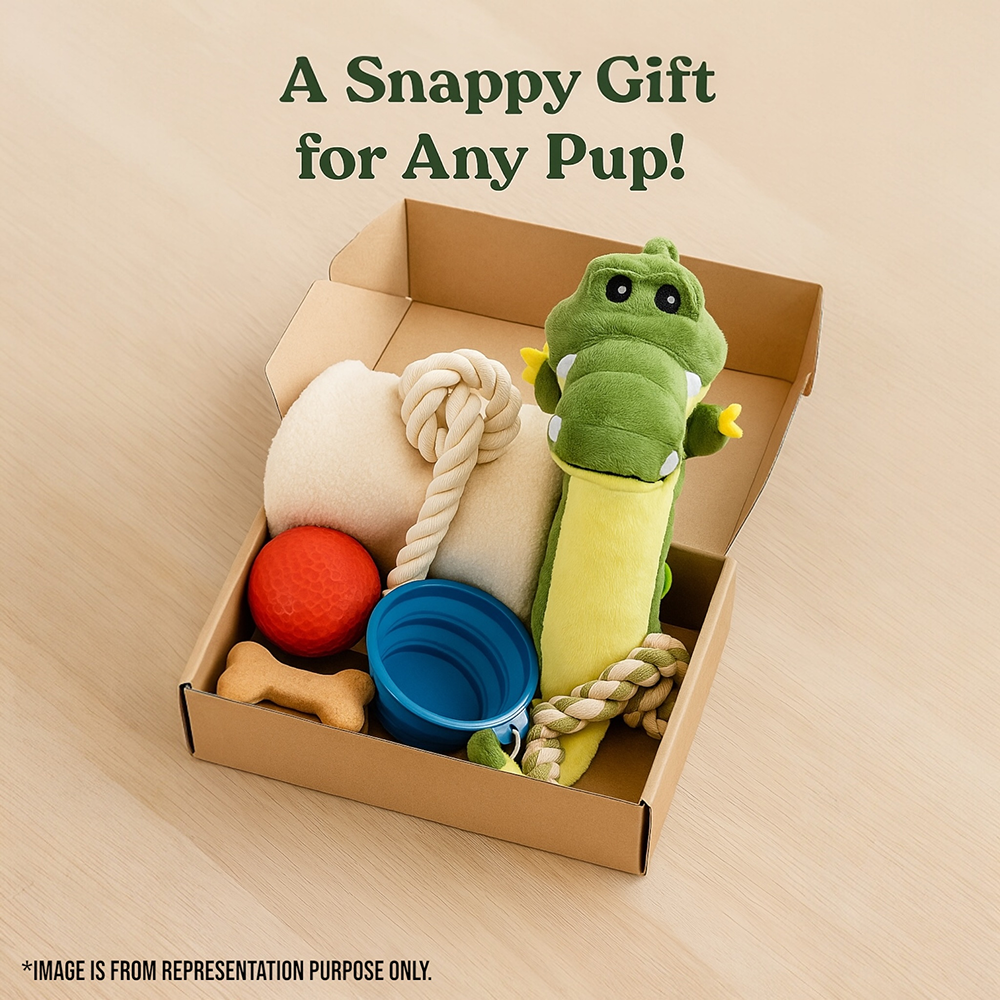 Talking Dog Club Gator Plush Toy for Dogs (Green) Dogs-Toys Talking Dog Club Dropship