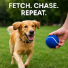 Talking Dog Club Tennis Ball Toy for Dogs (Blue) Dogs-Toys Talking Dog Club Dropship