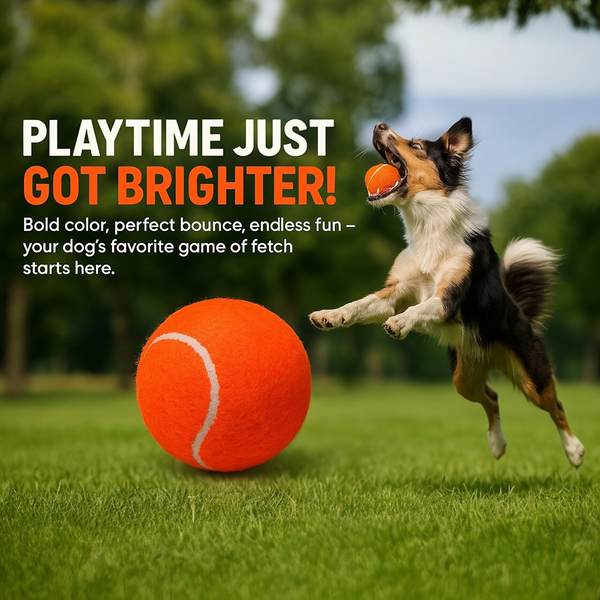 Talking Dog Club Tennis Ball Toy for Dogs (Orange)