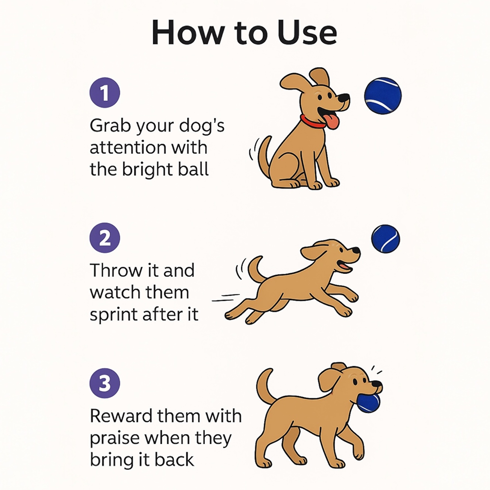 Talking Dog Club Tennis Ball Toy for Dogs (Blue) Dogs-Toys Talking Dog Club Dropship