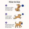 Talking Dog Club Tennis Ball Toy for Dogs (Blue) Dogs-Toys Talking Dog Club Dropship