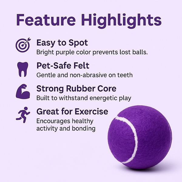 Talking Dog Club Tennis Ball Toy for Dogs (Purple)
