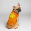Talking Dog Club Bright Winter High Paw Jumper Sweater for Dogs (Orange) Both-Clothing & Accessories Talking Dog Club Dropship