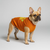 Talking Dog Club Bright Winter High Paw Jumper Sweater for Dogs (Orange) Both-Clothing & Accessories Talking Dog Club Dropship